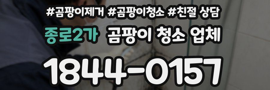 종로2가 곰팡이 청소 업체