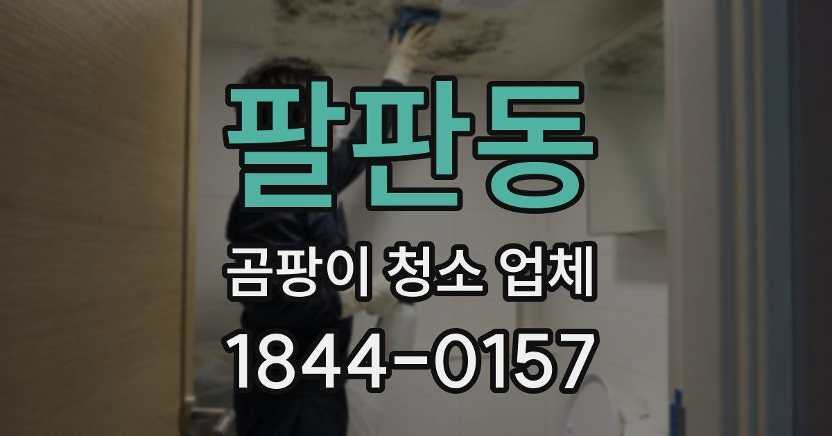 팔판동 곰팡이 청소 업체