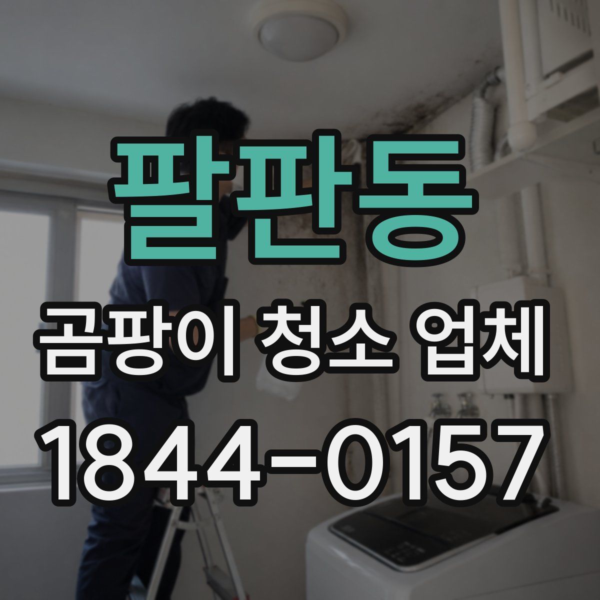 팔판동 곰팡이 청소 업체