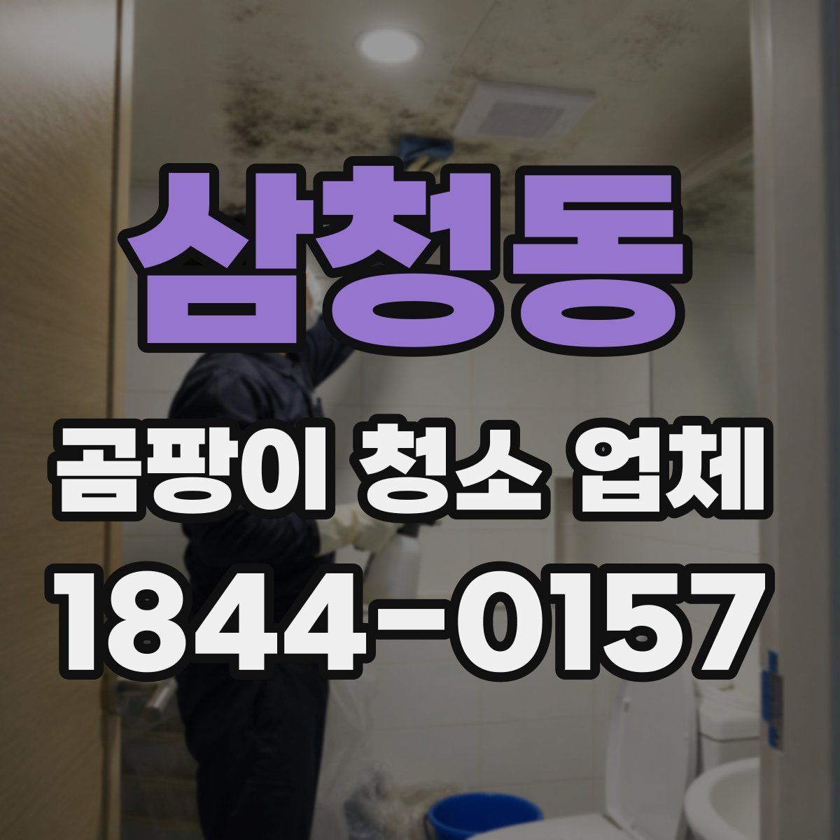 삼청동 곰팡이 청소 업체