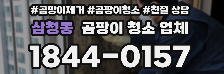 삼청동 곰팡이 청소 업체