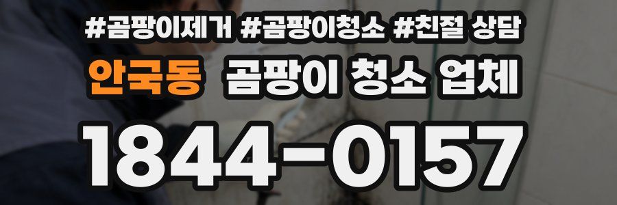 안국동 곰팡이 청소 업체