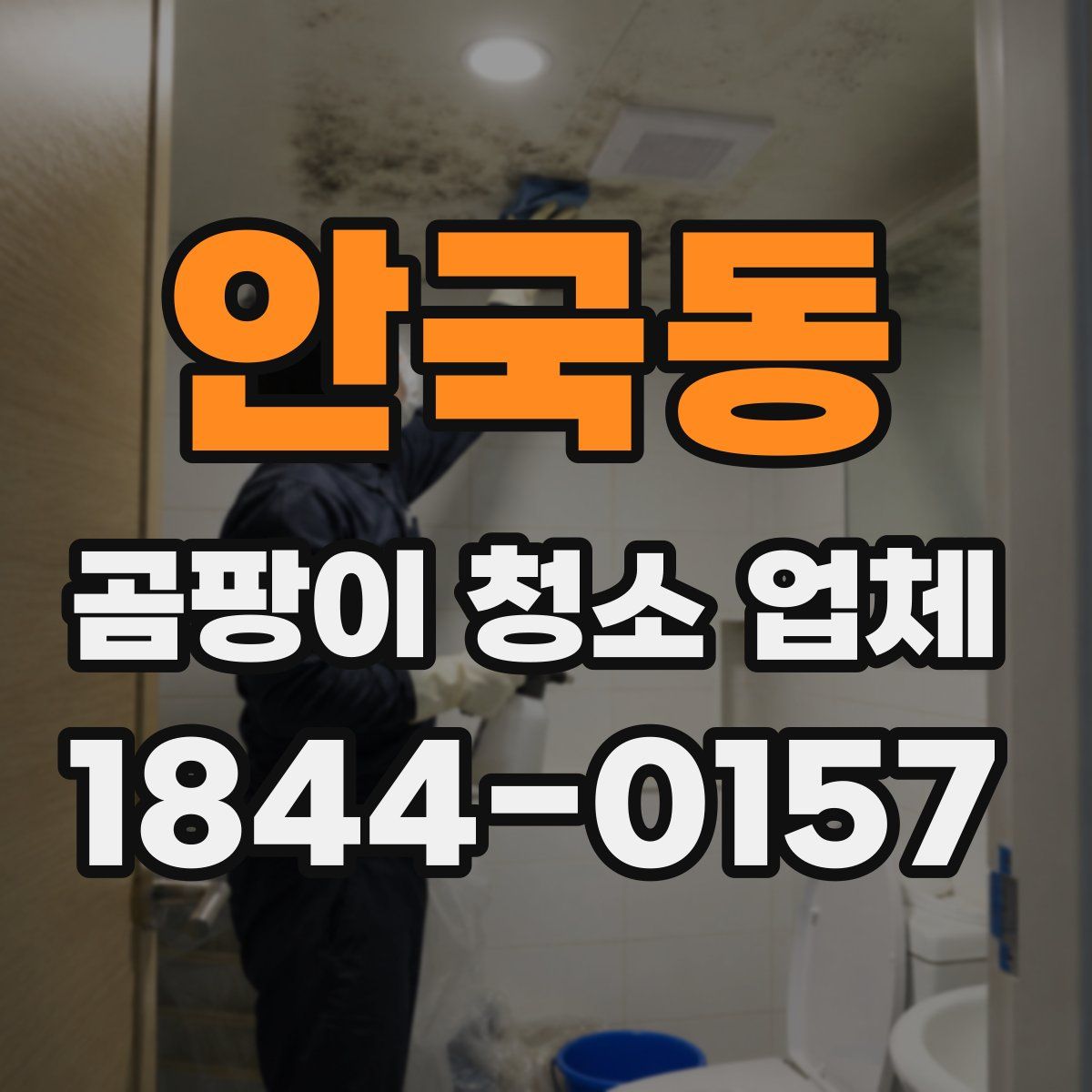 안국동 곰팡이 청소 업체