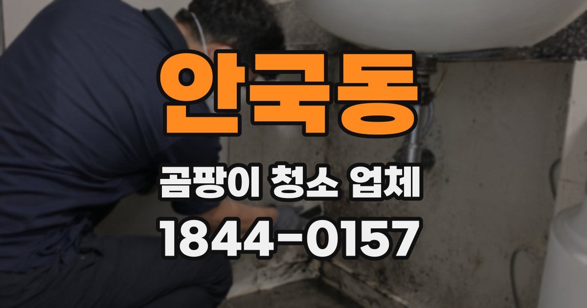 안국동 곰팡이 청소 업체