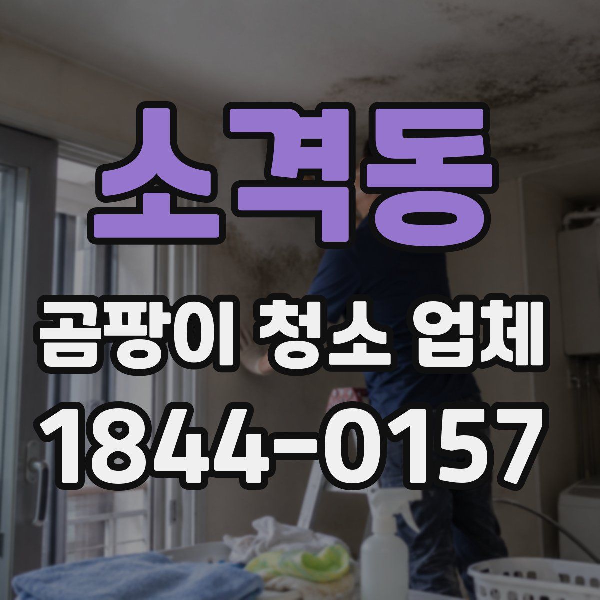 소격동 곰팡이 청소 업체