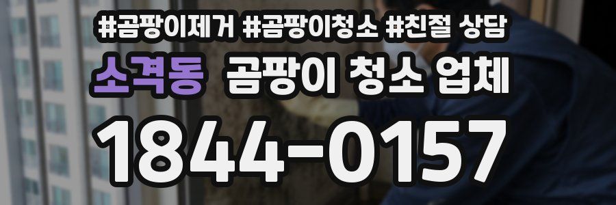 소격동 곰팡이 청소 업체