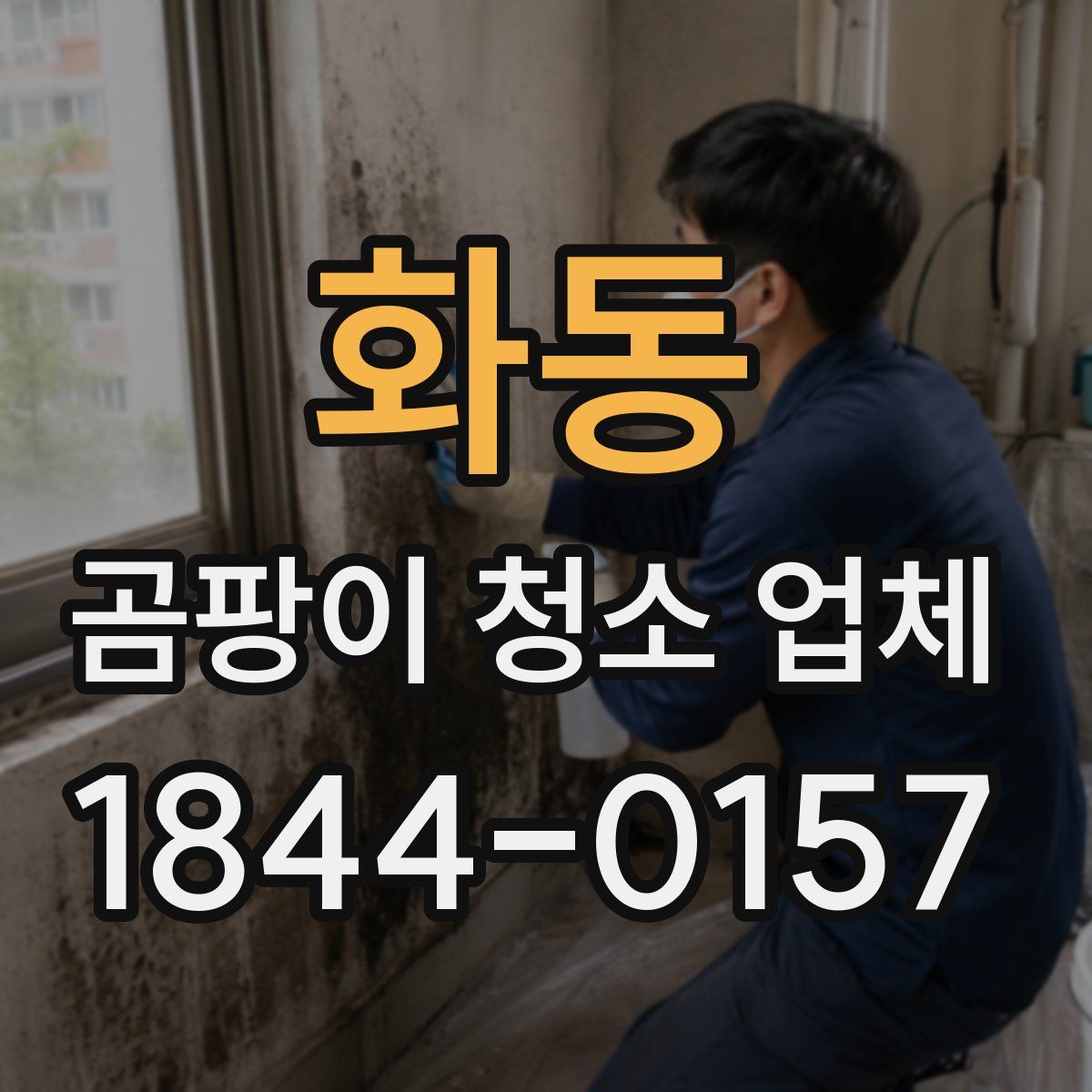 화동 곰팡이 청소 업체