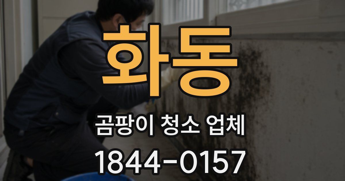 화동 곰팡이 청소 업체
