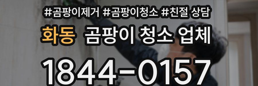 화동 곰팡이 청소 업체