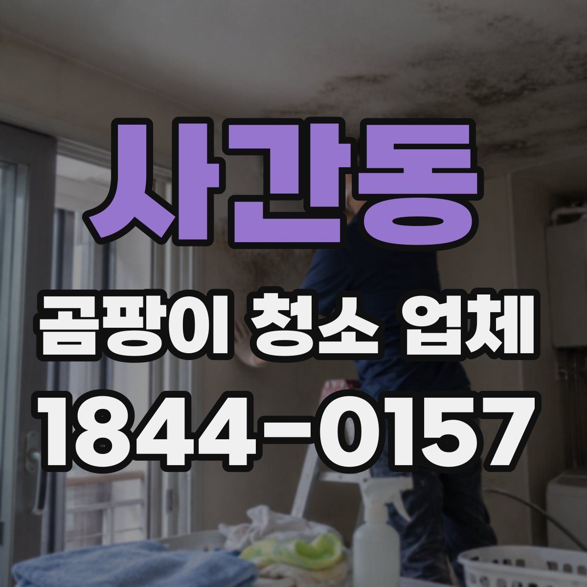 사간동 곰팡이 청소 업체