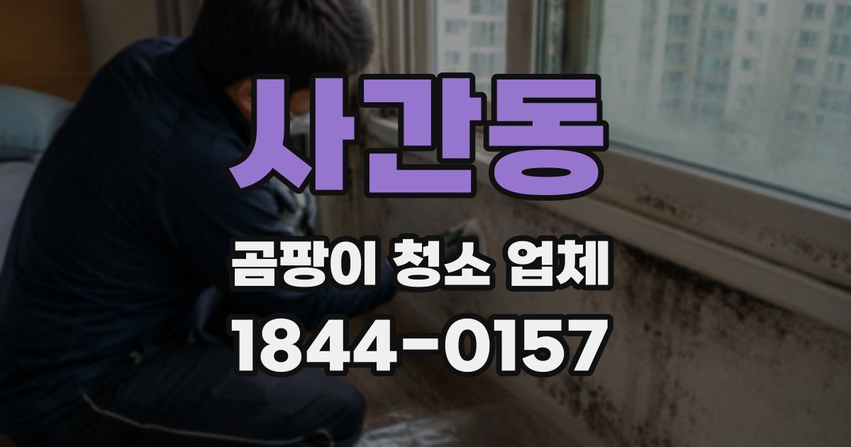 사간동 곰팡이 청소 업체