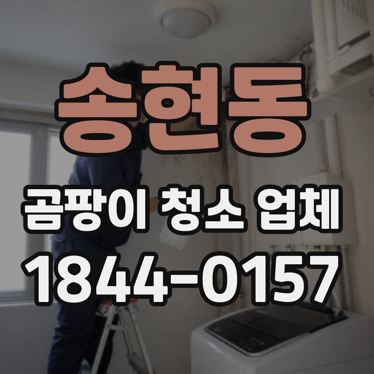 송현동 곰팡이 청소 업체