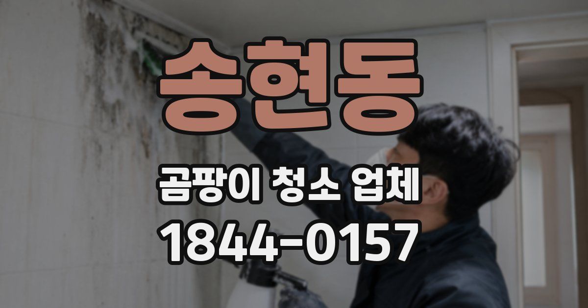 송현동 곰팡이 청소 업체