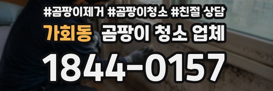 가회동 곰팡이 청소 업체