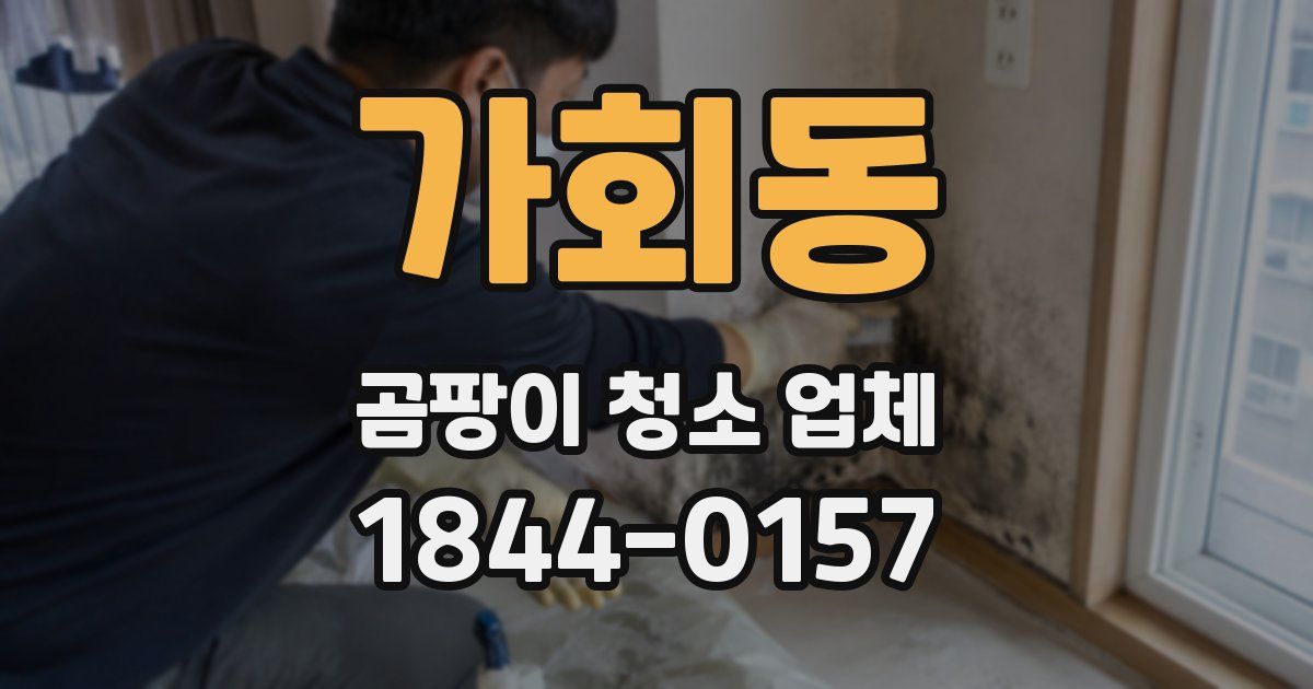가회동 곰팡이 청소 업체