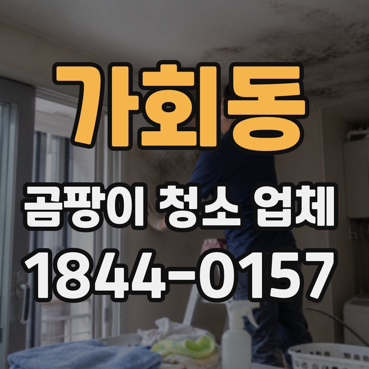 가회동 곰팡이 청소 업체
