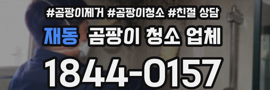 재동 곰팡이 청소 업체
