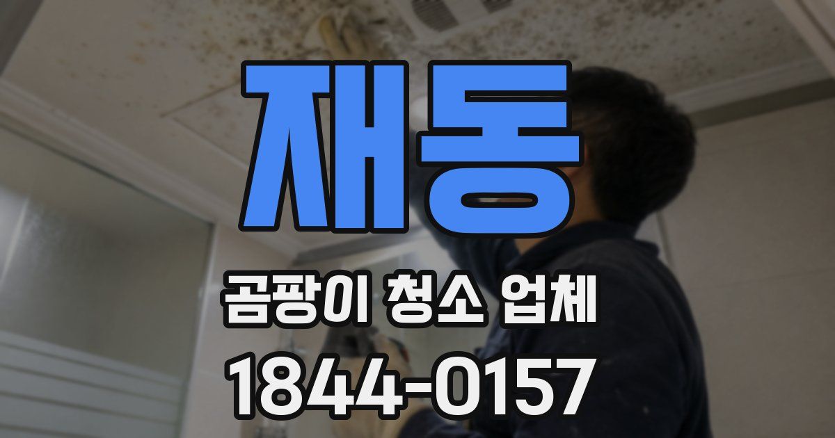 재동 곰팡이 청소 업체