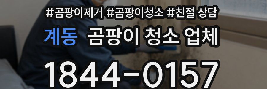 계동 곰팡이 청소 업체