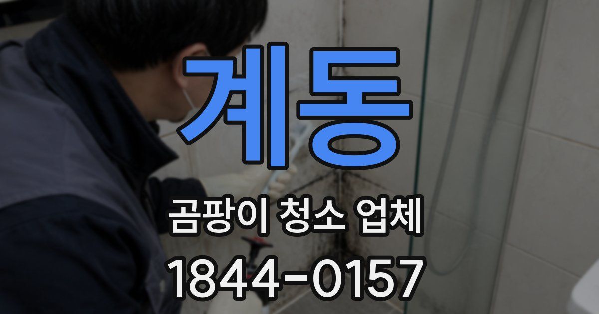 계동 곰팡이 청소 업체