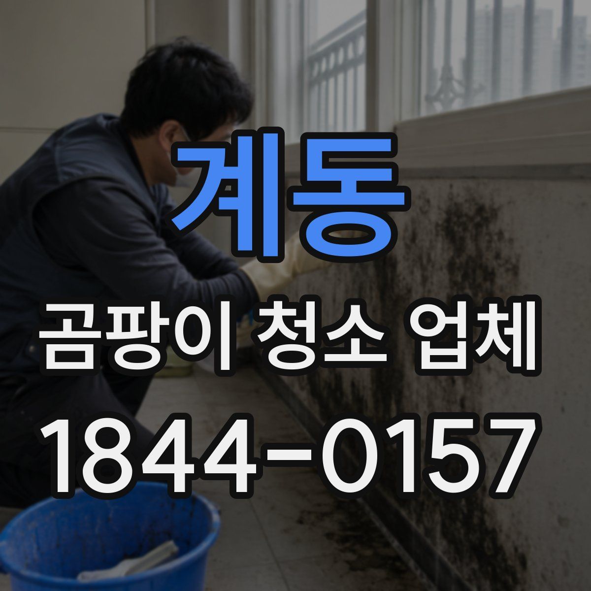 계동 곰팡이 청소 업체