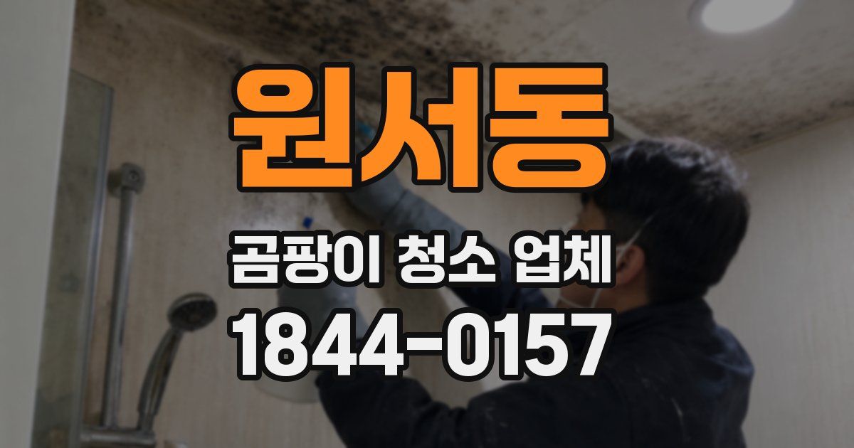 원서동 곰팡이 청소 업체