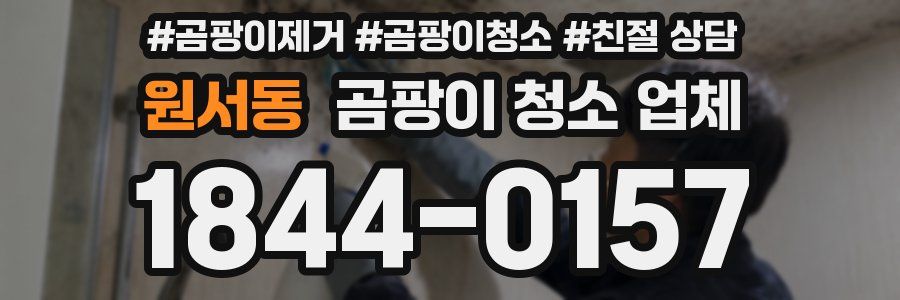 원서동 곰팡이 청소 업체