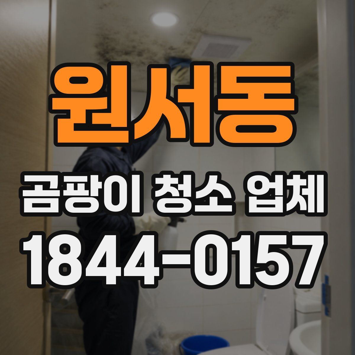 원서동 곰팡이 청소 업체