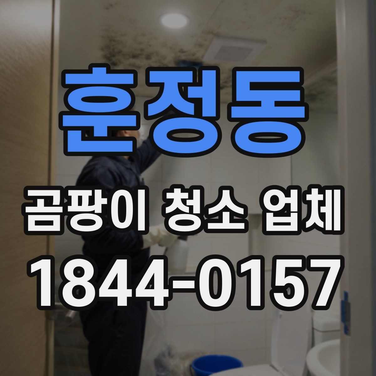 훈정동 곰팡이 청소 업체 선택할 때 계약서 확인 포인트