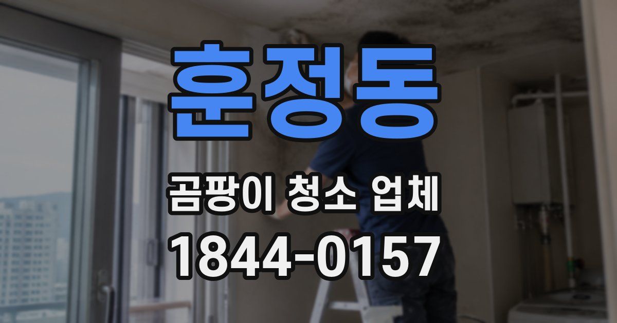 훈정동 곰팡이 청소 업체