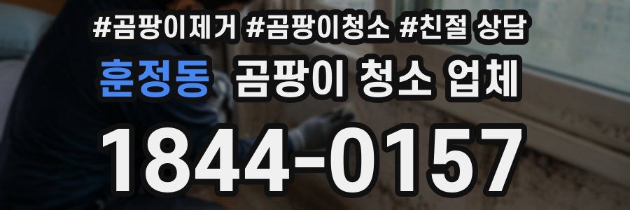 훈정동 곰팡이 청소 업체
