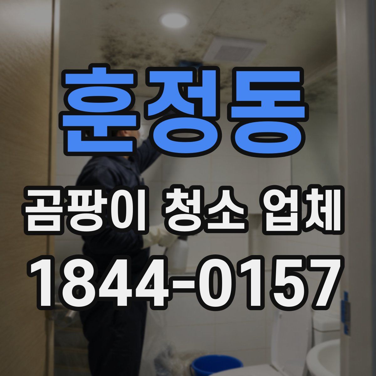 훈정동 곰팡이 청소 업체