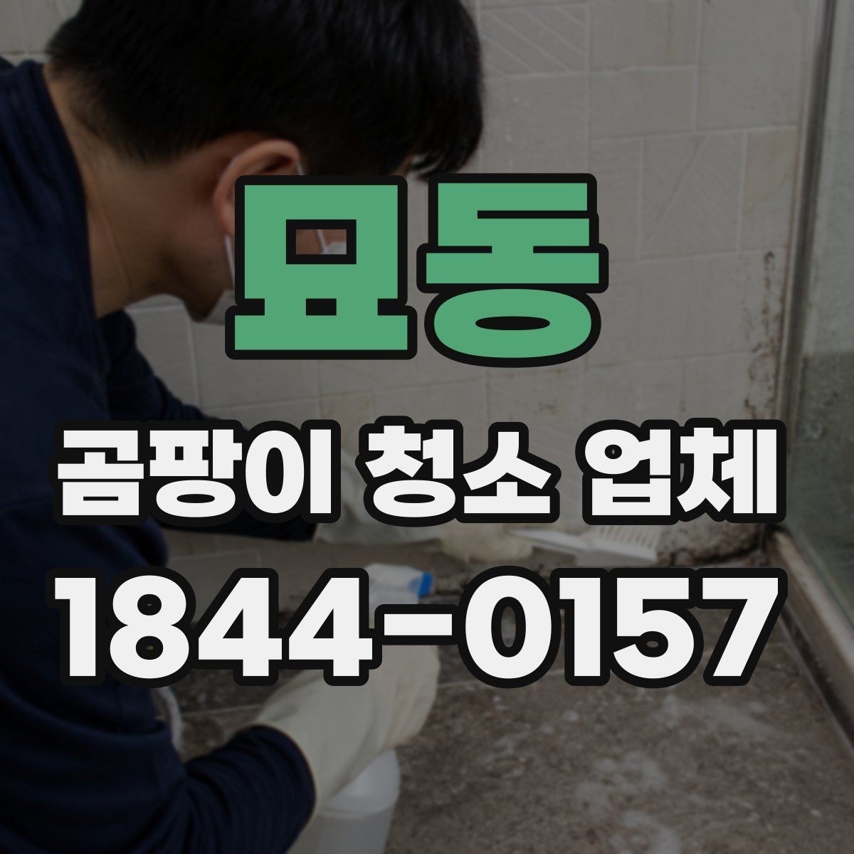 묘동 곰팡이 청소 업체 이용 시 계약 전 확인사항