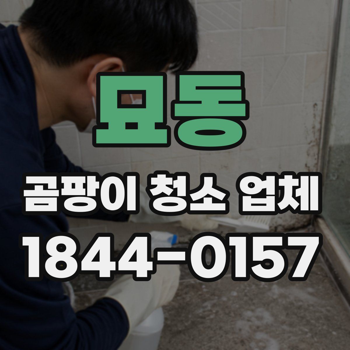 묘동 곰팡이 청소 업체