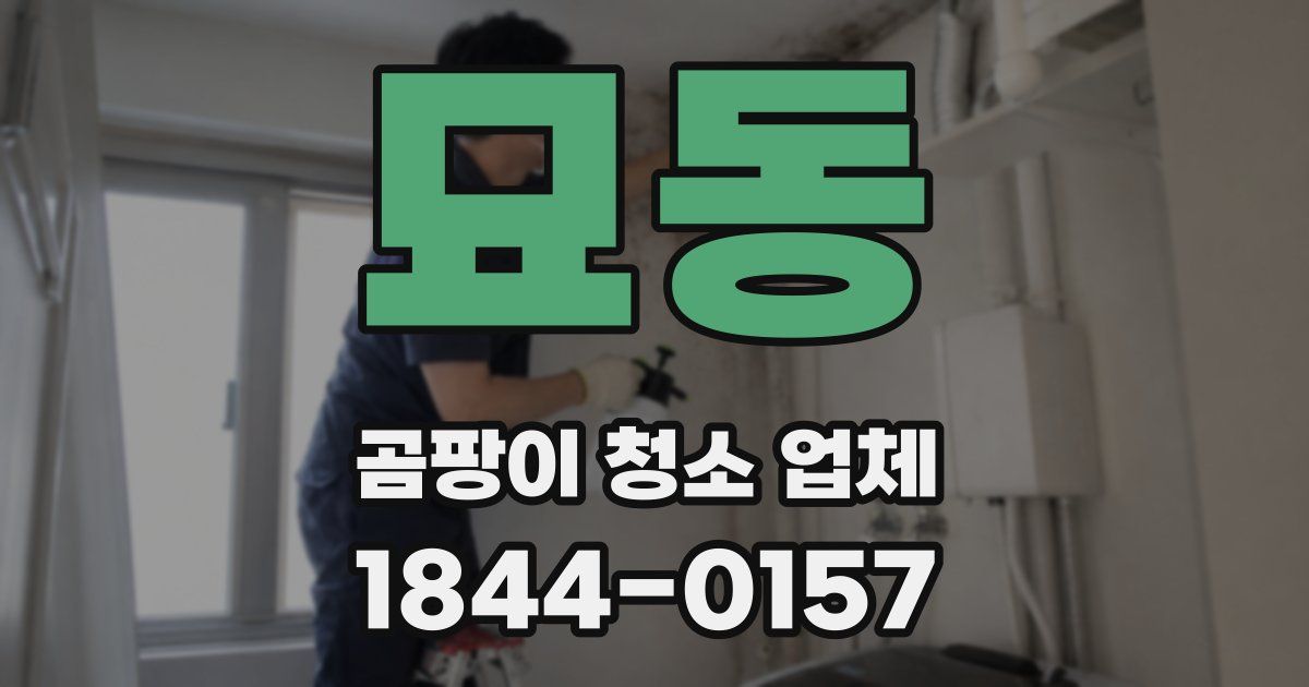 묘동 곰팡이 청소 업체