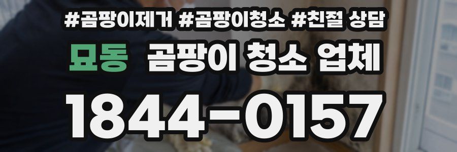 묘동 곰팡이 청소 업체