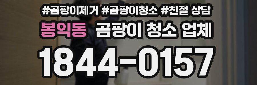 봉익동 곰팡이 청소 업체