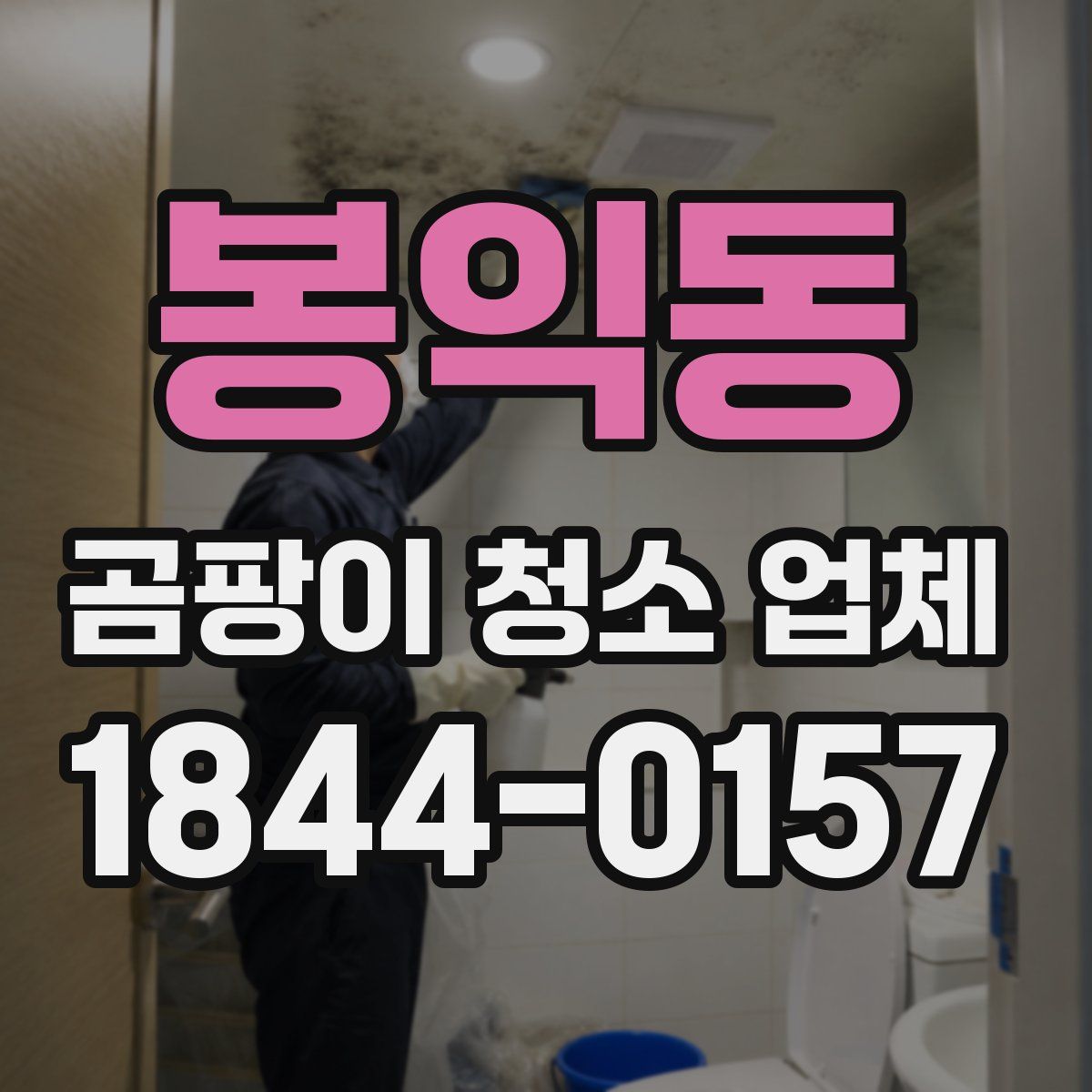 봉익동 곰팡이 청소 업체