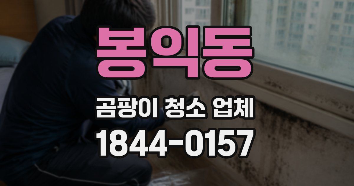 봉익동 곰팡이 청소 업체