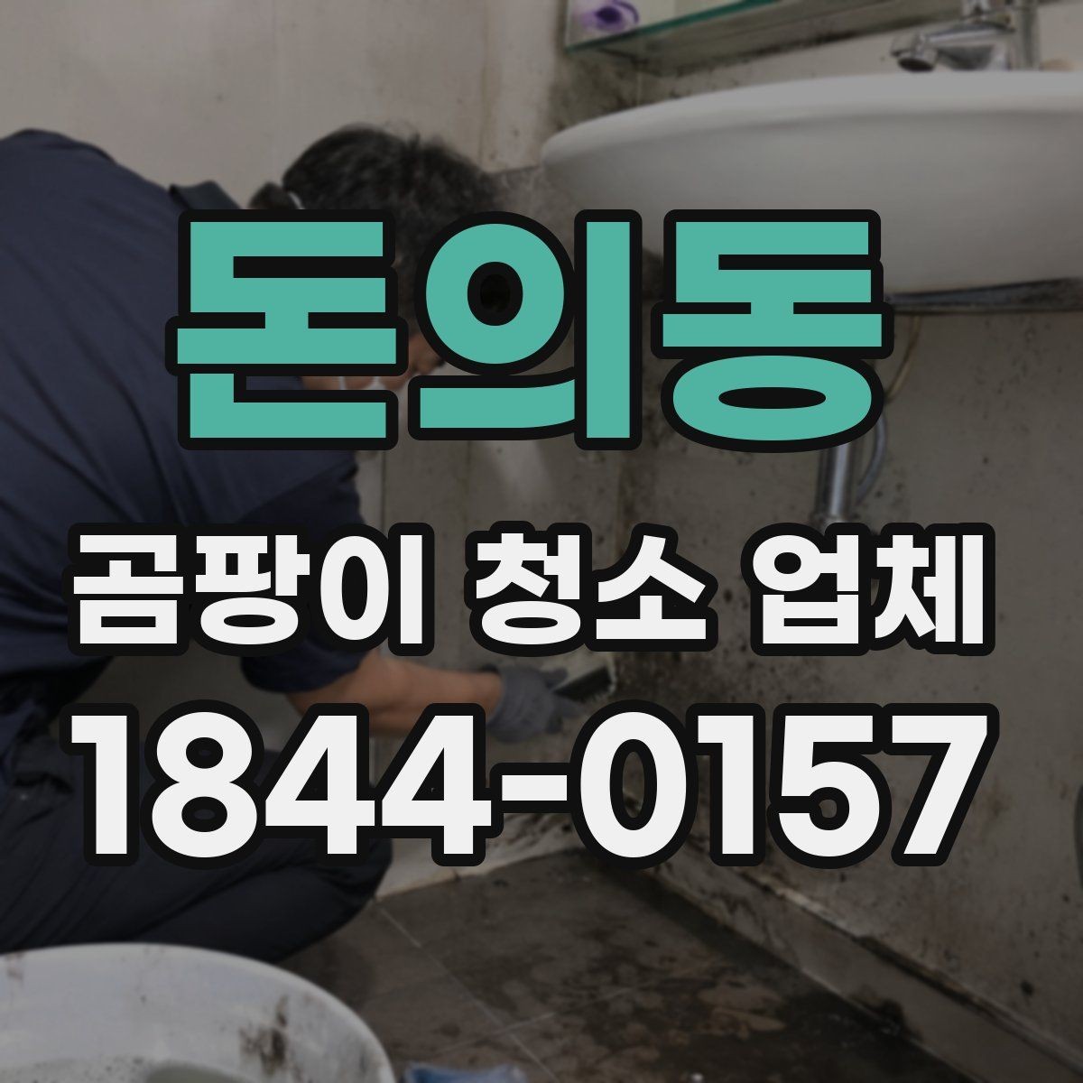 돈의동 곰팡이 청소 업체 상담 시 현장 사진 보내는 요령