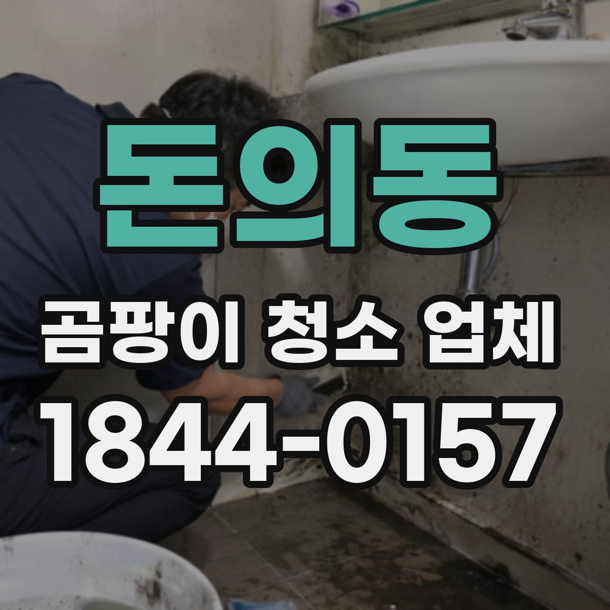 돈의동 곰팡이 청소 업체