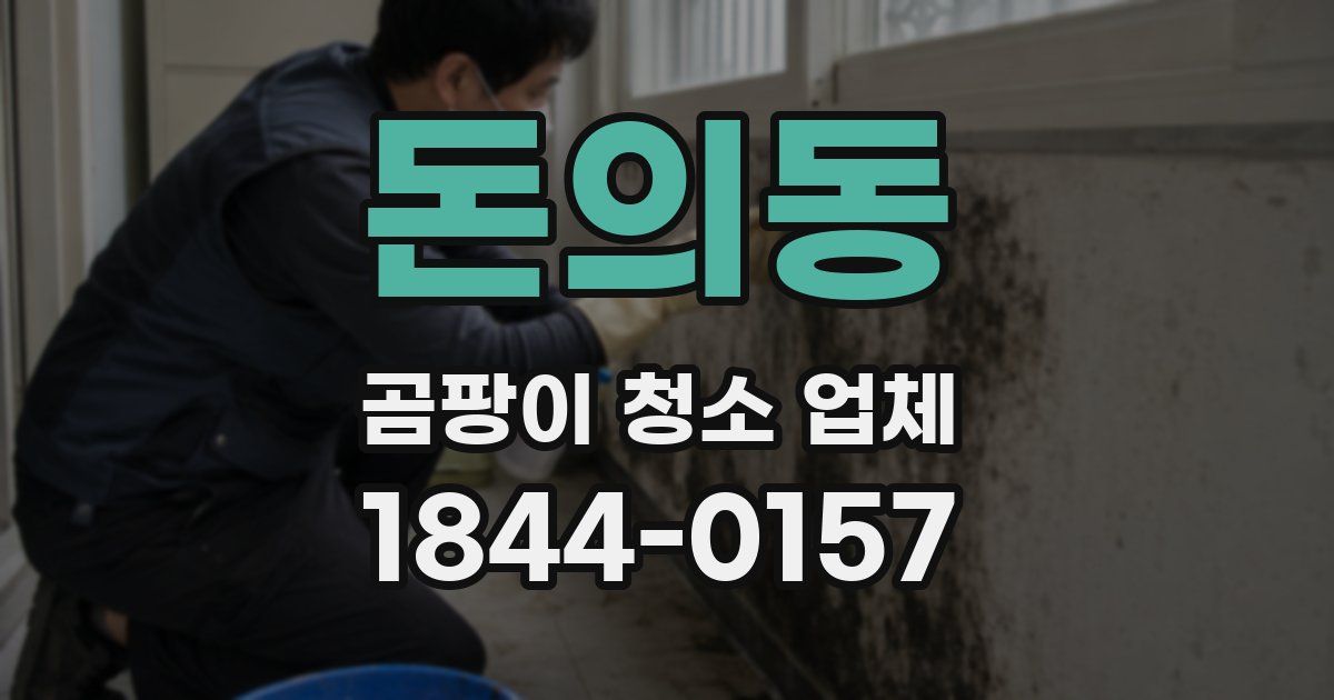 돈의동 곰팡이 청소 업체