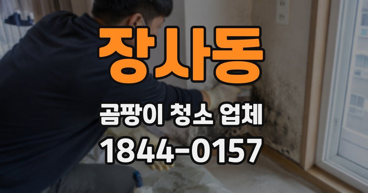 장사동 곰팡이 청소 업체