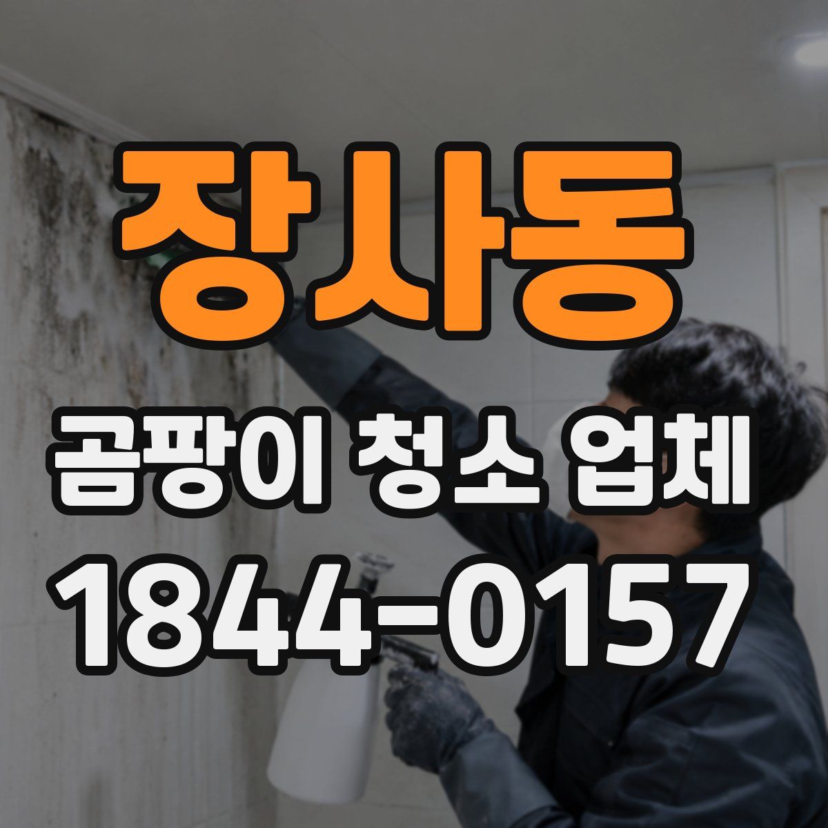 장사동 곰팡이 청소 업체