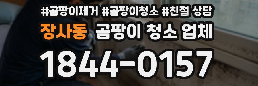 장사동 곰팡이 청소 업체