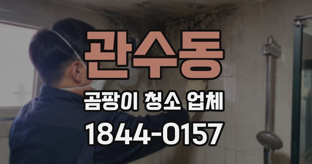 관수동 곰팡이 청소 업체