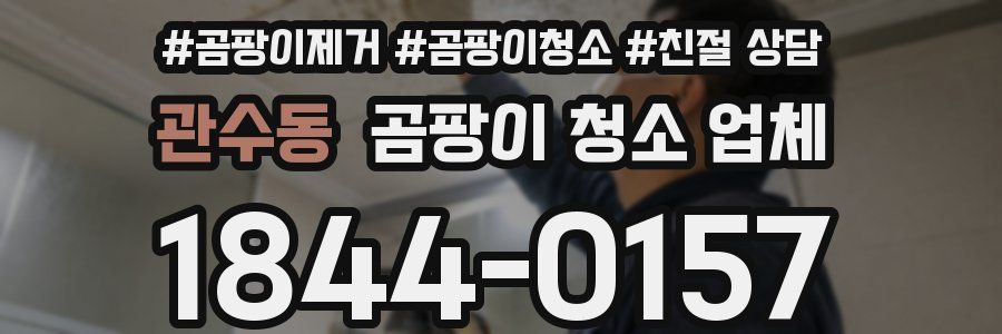 관수동 곰팡이 청소 업체