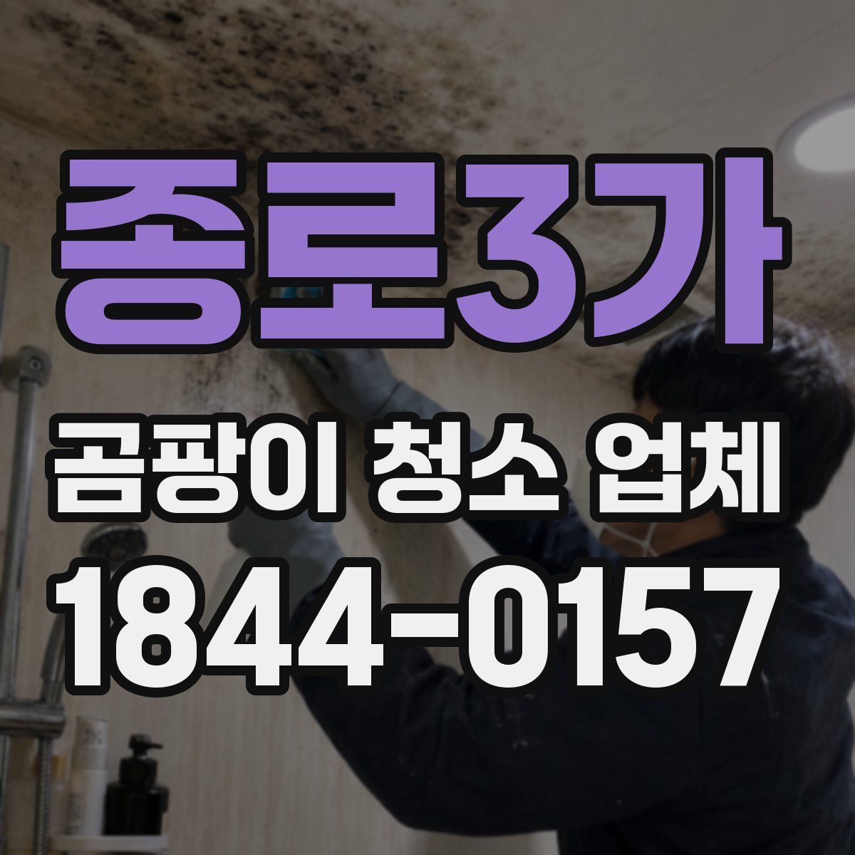 종로3가 곰팡이 청소 업체