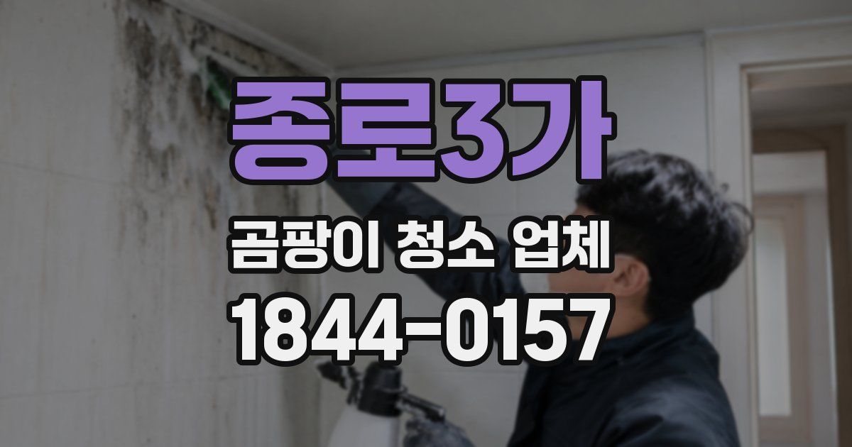 종로3가 곰팡이 청소 업체