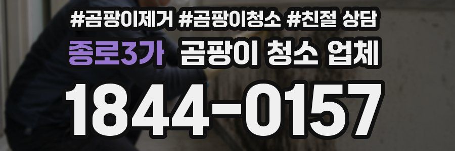종로3가 곰팡이 청소 업체